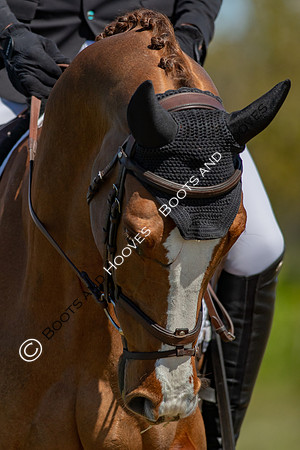 Barefoot Retreats Burnham Market Horse Trials
