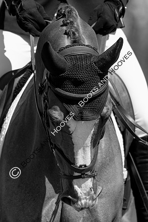 Barefoot Retreats Burnham Market Horse Trials