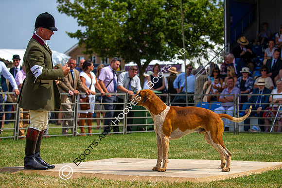 Festival of Hunting