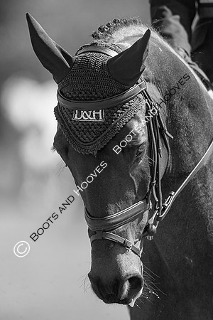 Barefoot Retreats Burnham Market Horse Trials