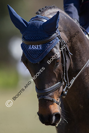 Barefoot Retreats Burnham Market Horse Trials