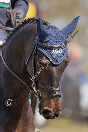Barefoot Retreats Burnham Market Horse Trials