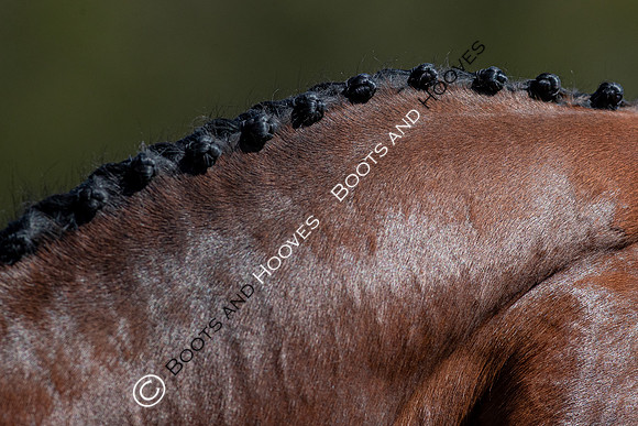 Barefoot Retreats Burnham Market Horse Trials