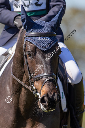 Barefoot Retreats Burnham Market Horse Trials