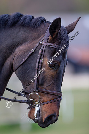 Barefoot Retreats Burnham Market Horse Trials