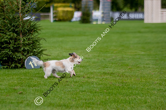 Science Supplements All England Jumping Championships