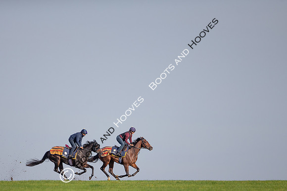 Newmarket