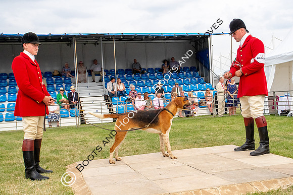 Festival of Hunting