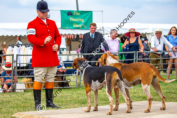 Festival of Hunting