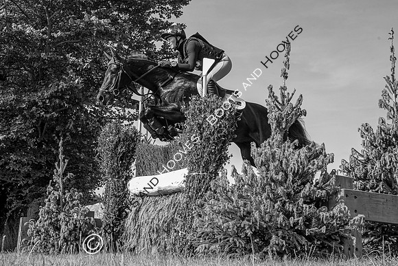 Bicton International Horse Trials supported by Chedington