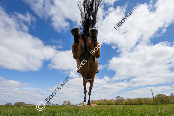 Essex with the Farmers and Union Hnt Point to Point