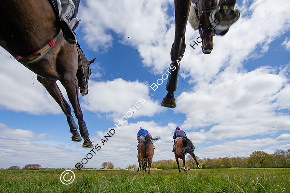 Essex with the Farmers and Union Hnt Point to Point