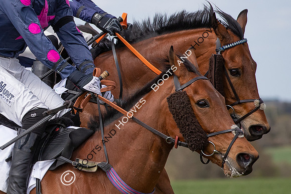 Essex with the Farmers and Union Hnt Point to Point