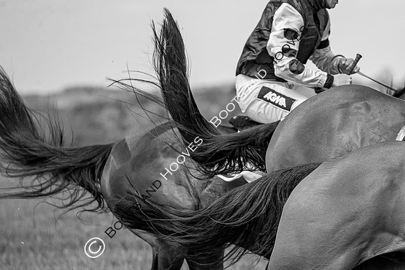 Essex with the Farmers and Union Hnt Point to Point