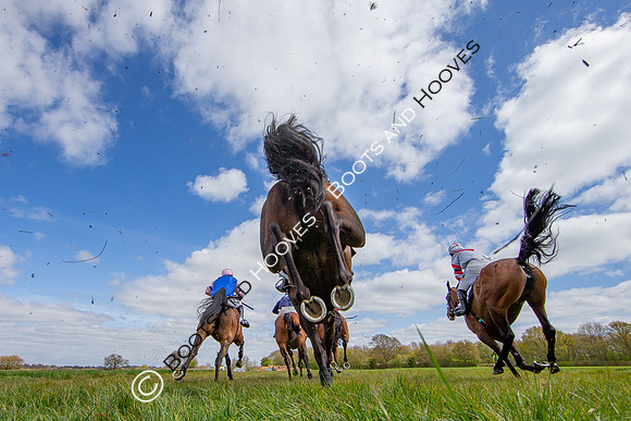 Essex with the Farmers and Union Hnt Point to Point