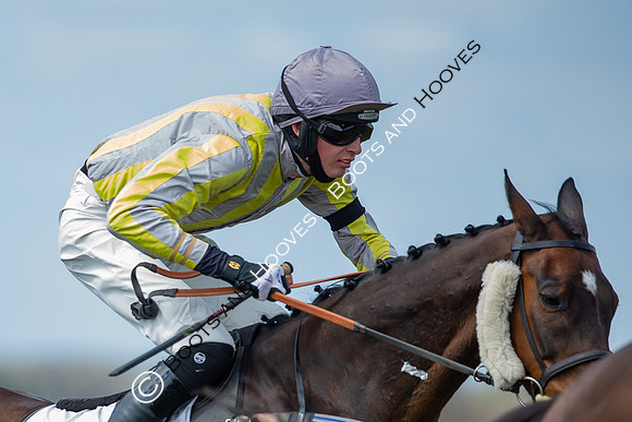 Essex with the Farmers and Union Hnt Point to Point