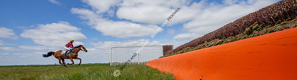 Essex with the Farmers and Union Hnt Point to Point