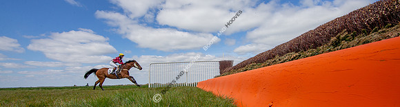 Essex with the Farmers and Union Hnt Point to Point