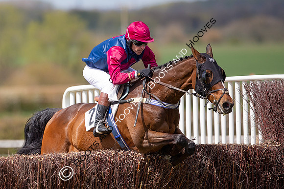 Essex with the Farmers and Union Hnt Point to Point