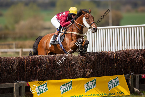 Essex with the Farmers and Union Hnt Point to Point