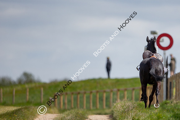 Essex with the Farmers and Union Hnt Point to Point