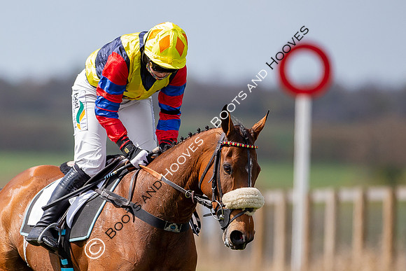 Essex with the Farmers and Union Hnt Point to Point