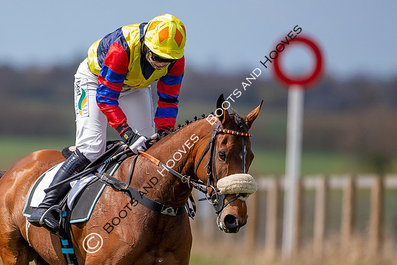 Essex with the Farmers and Union Hnt Point to Point