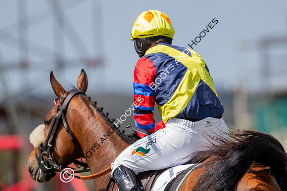 Essex with the Farmers and Union Hnt Point to Point