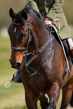 Essex with the Farmers and Union Hnt Point to Point