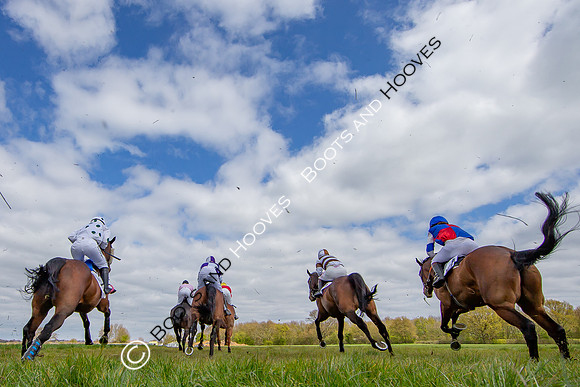 Essex with the Farmers and Union Hnt Point to Point