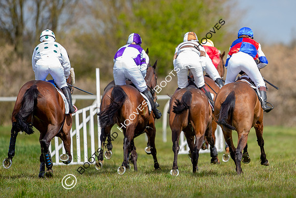 Essex with the Farmers and Union Hnt Point to Point