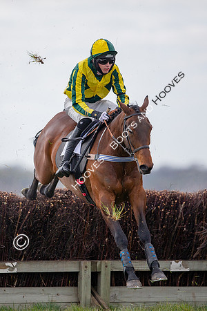 Essex with the Farmers and Union Hnt Point to Point