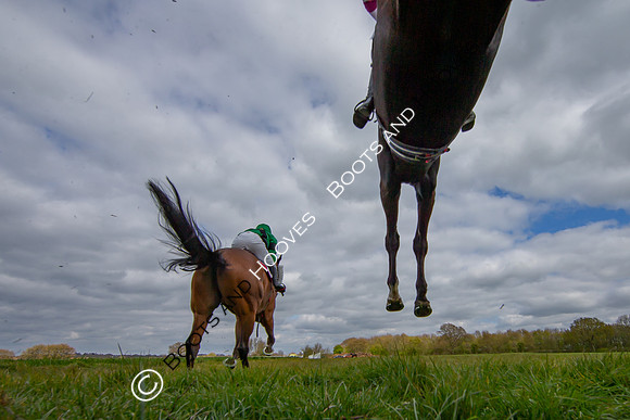 Essex with the Farmers and Union Hnt Point to Point