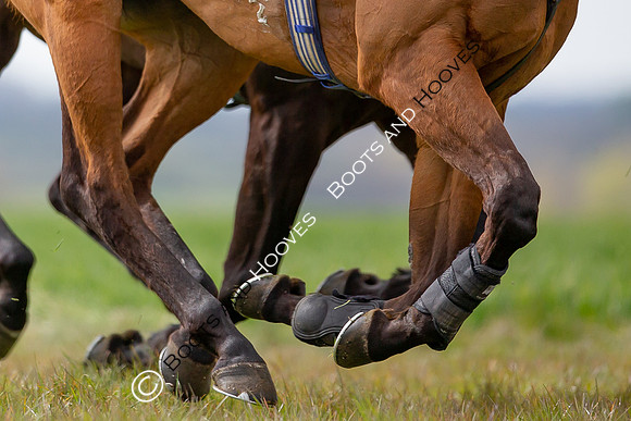 Essex with the Farmers and Union Hnt Point to Point