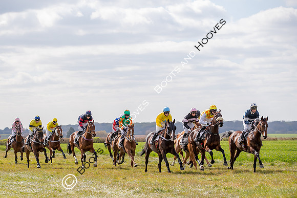 Essex with the Farmers and Union Hnt Point to Point