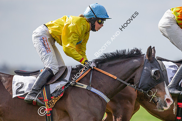 Essex with the Farmers and Union Hnt Point to Point