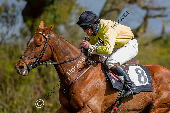 Essex with the Farmers and Union Hnt Point to Point