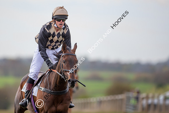 Essex with the Farmers and Union Hnt Point to Point