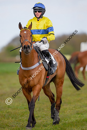 Essex with the Farmers and Union Hnt Point to Point