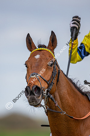Essex with the Farmers and Union Hnt Point to Point