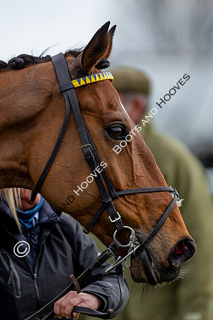 Essex with the Farmers and Union Hnt Point to Point