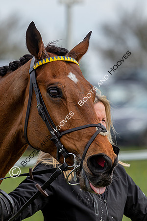 Essex with the Farmers and Union Hnt Point to Point