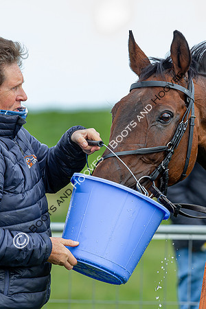 Essex with the Farmers and Union Hnt Point to Point