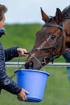 Essex with the Farmers and Union Hnt Point to Point