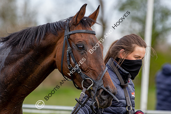 Essex with the Farmers and Union Hnt Point to Point