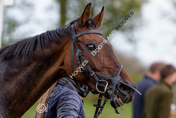 Essex with the Farmers and Union Hnt Point to Point