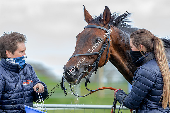 Essex with the Farmers and Union Hnt Point to Point