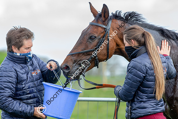 Essex with the Farmers and Union Hnt Point to Point