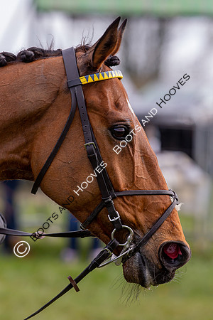 Essex with the Farmers and Union Hnt Point to Point