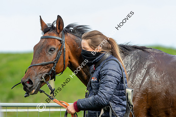 Essex with the Farmers and Union Hnt Point to Point